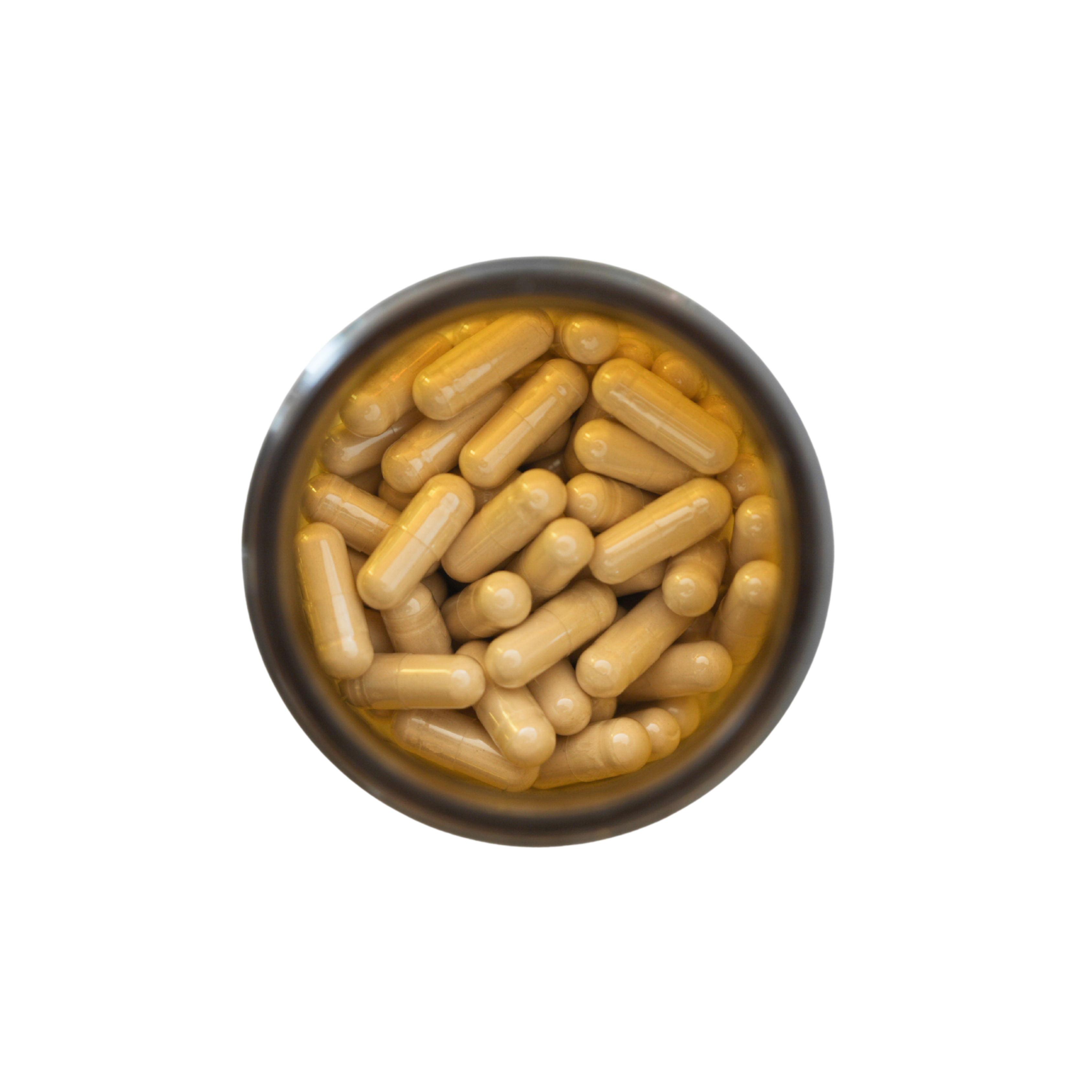 LION'S MANE CÁPSULAS