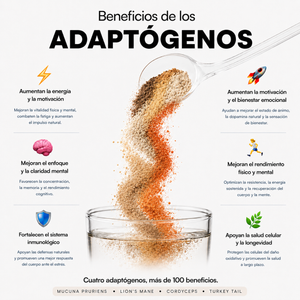 KIT ENERGÍA