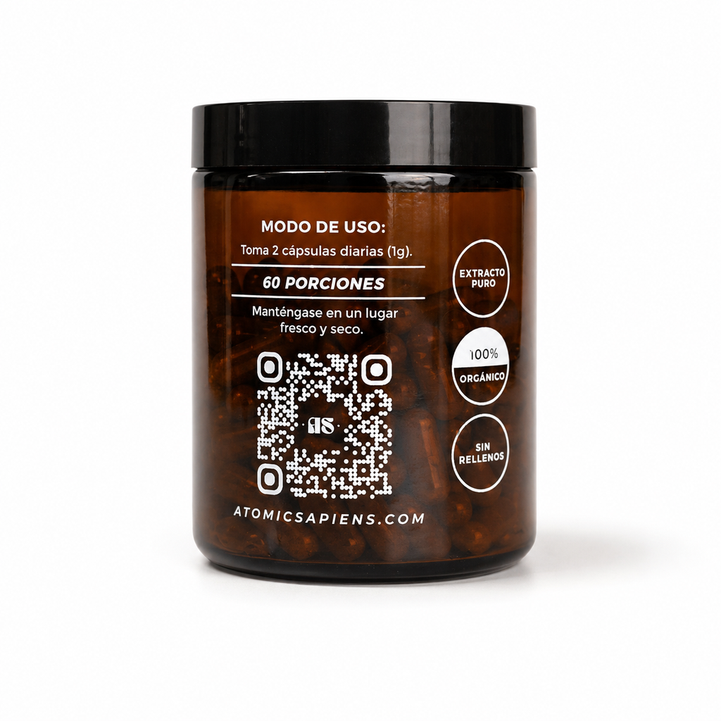 REISHI CÁPSULAS