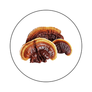 REISHI